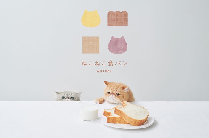 ねこねこ食パン