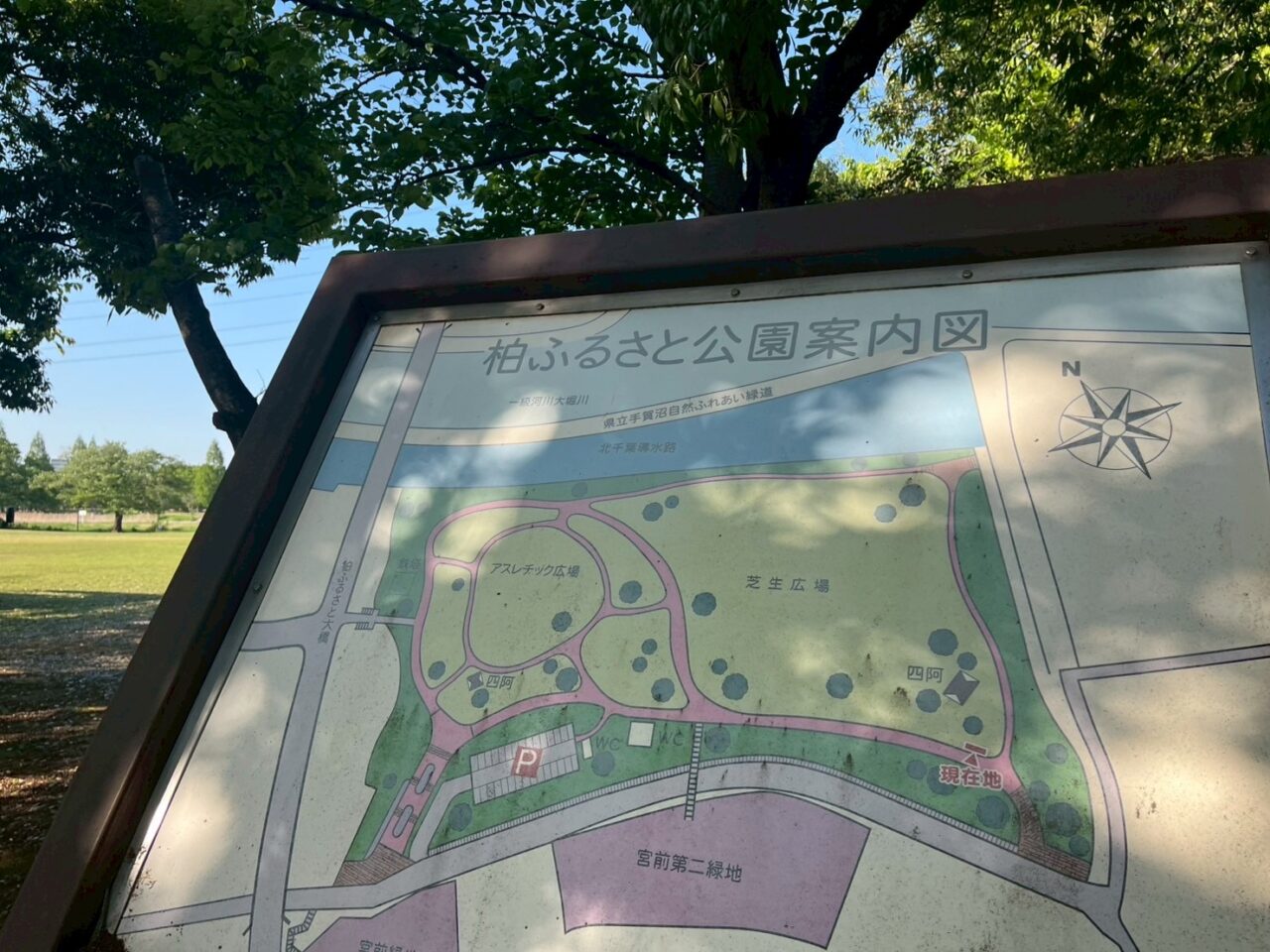 柏ふるさと公園