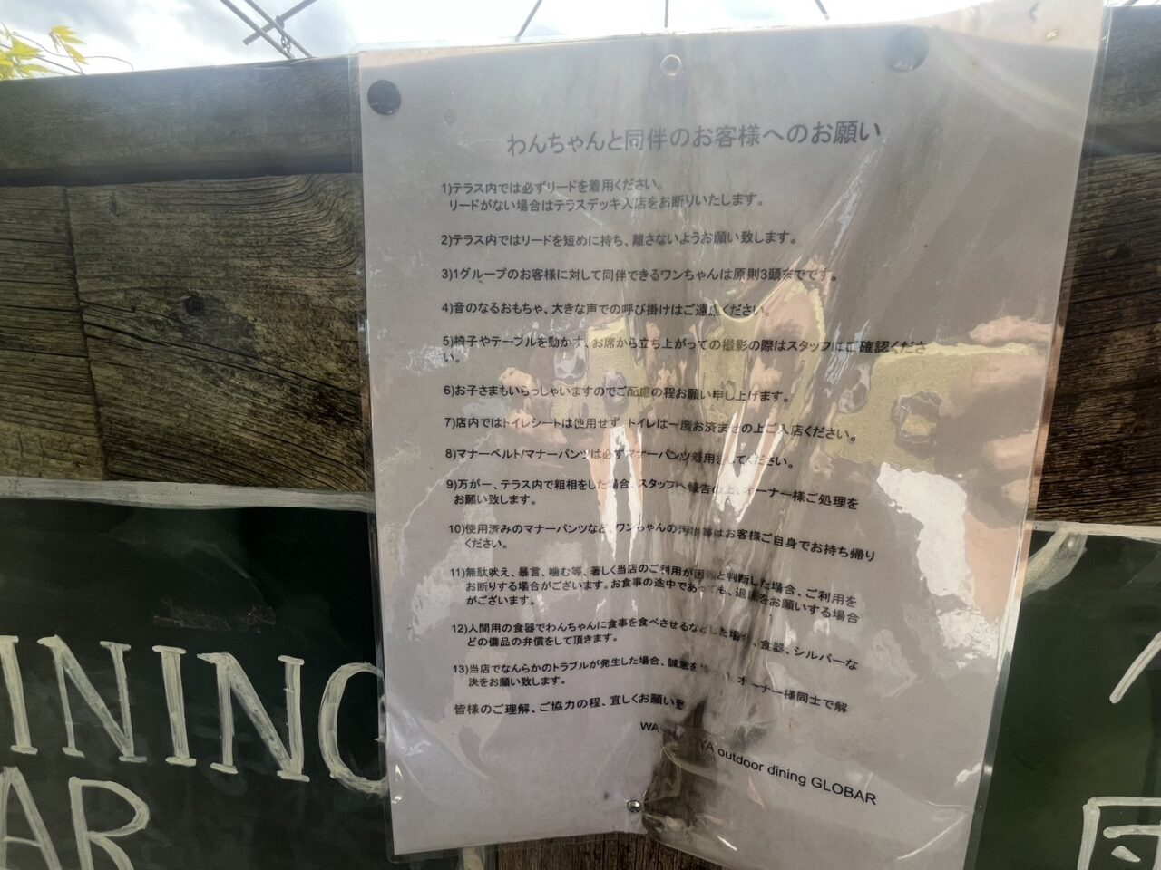 Washinoya outdoor