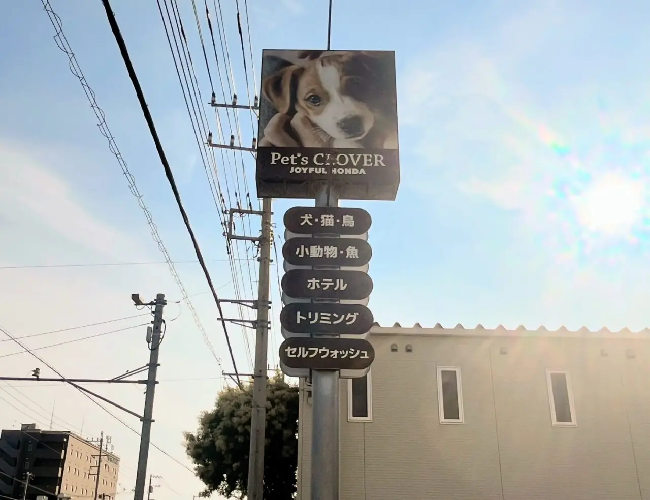 Pet’s CLOVER