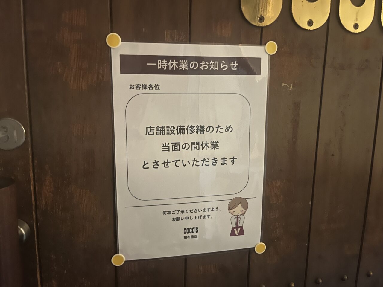 Cocos休業