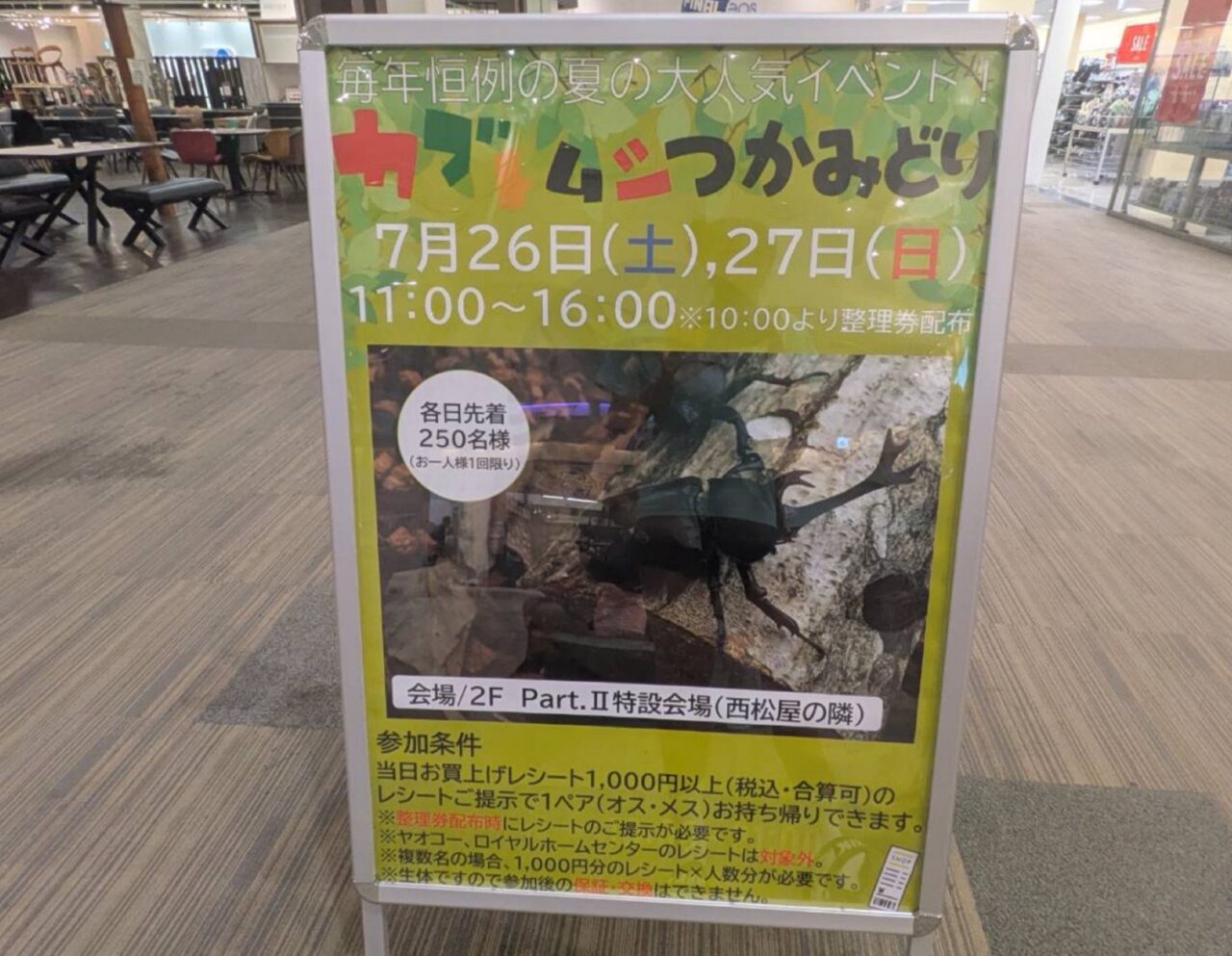 モラージュ柏