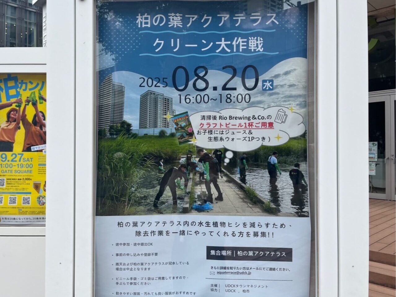 アクアテラスクリーン大作戦