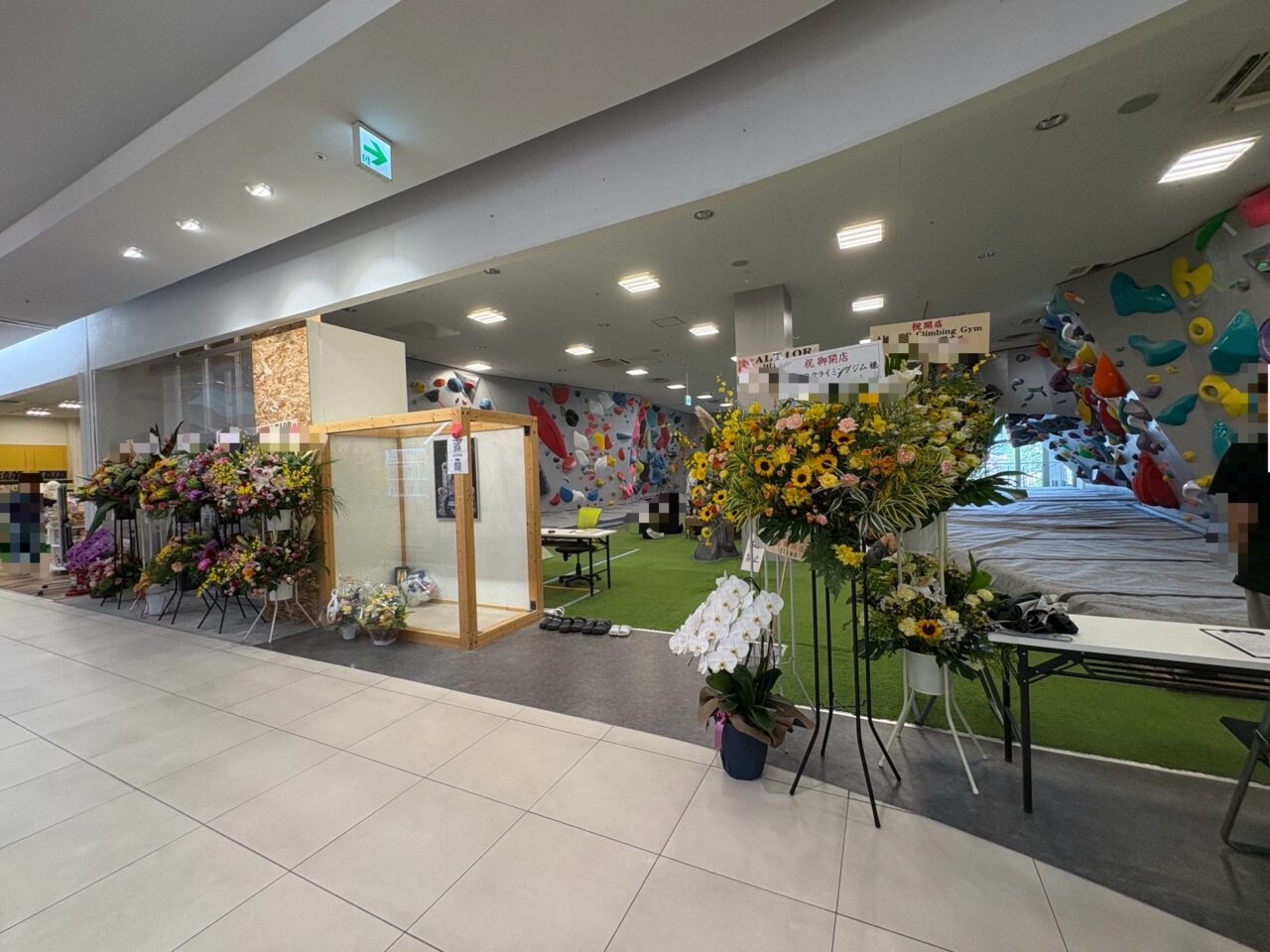 ALTIOR開店