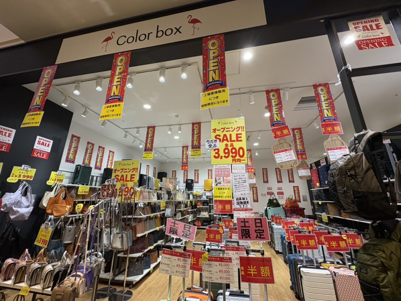 ららぽーと柏の葉に新店舗