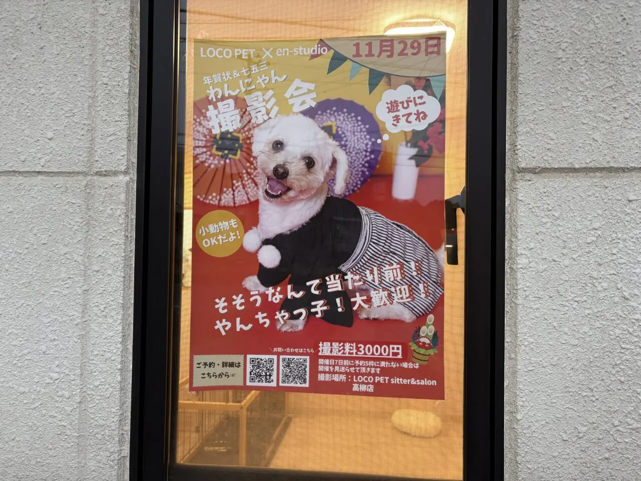 loco-pet-高柳