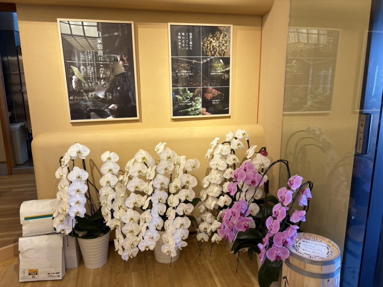 豊園茶舗 リニューアルオープン