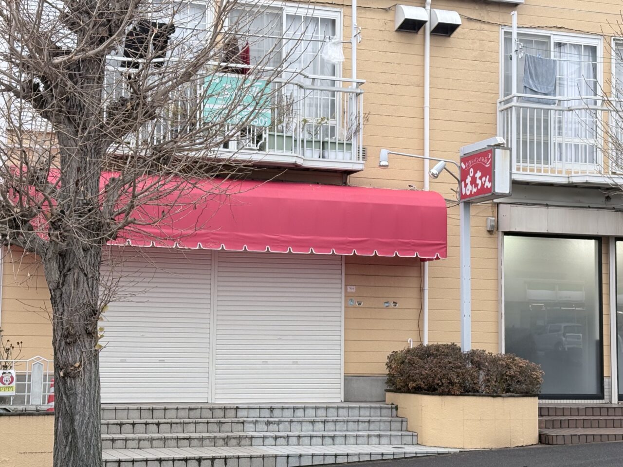 ぱんちゃんグランドオープン