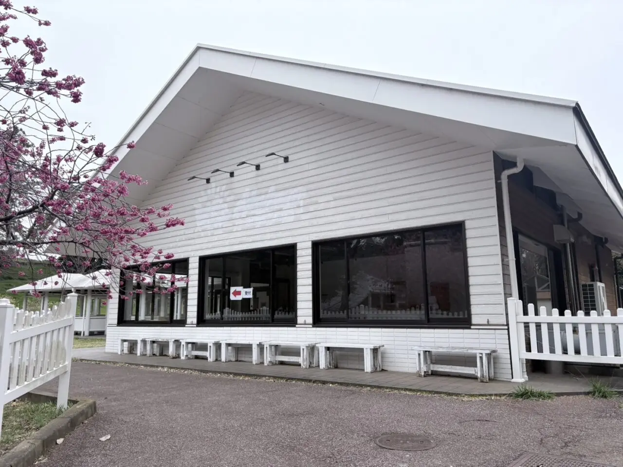 LOCAL BBQリニューアルオープン