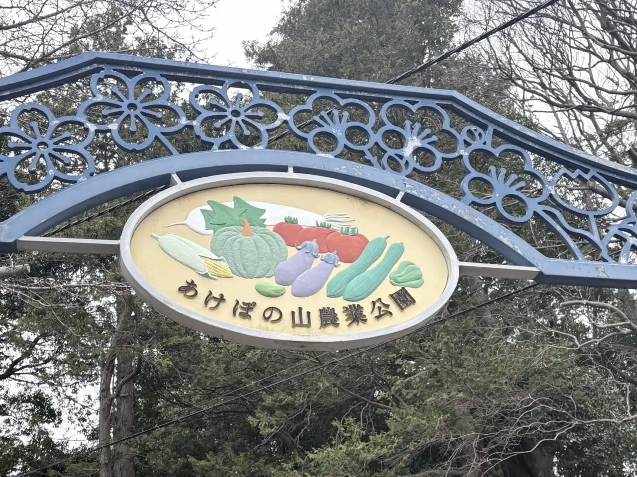 LOCAL BBQリニューアルオープン