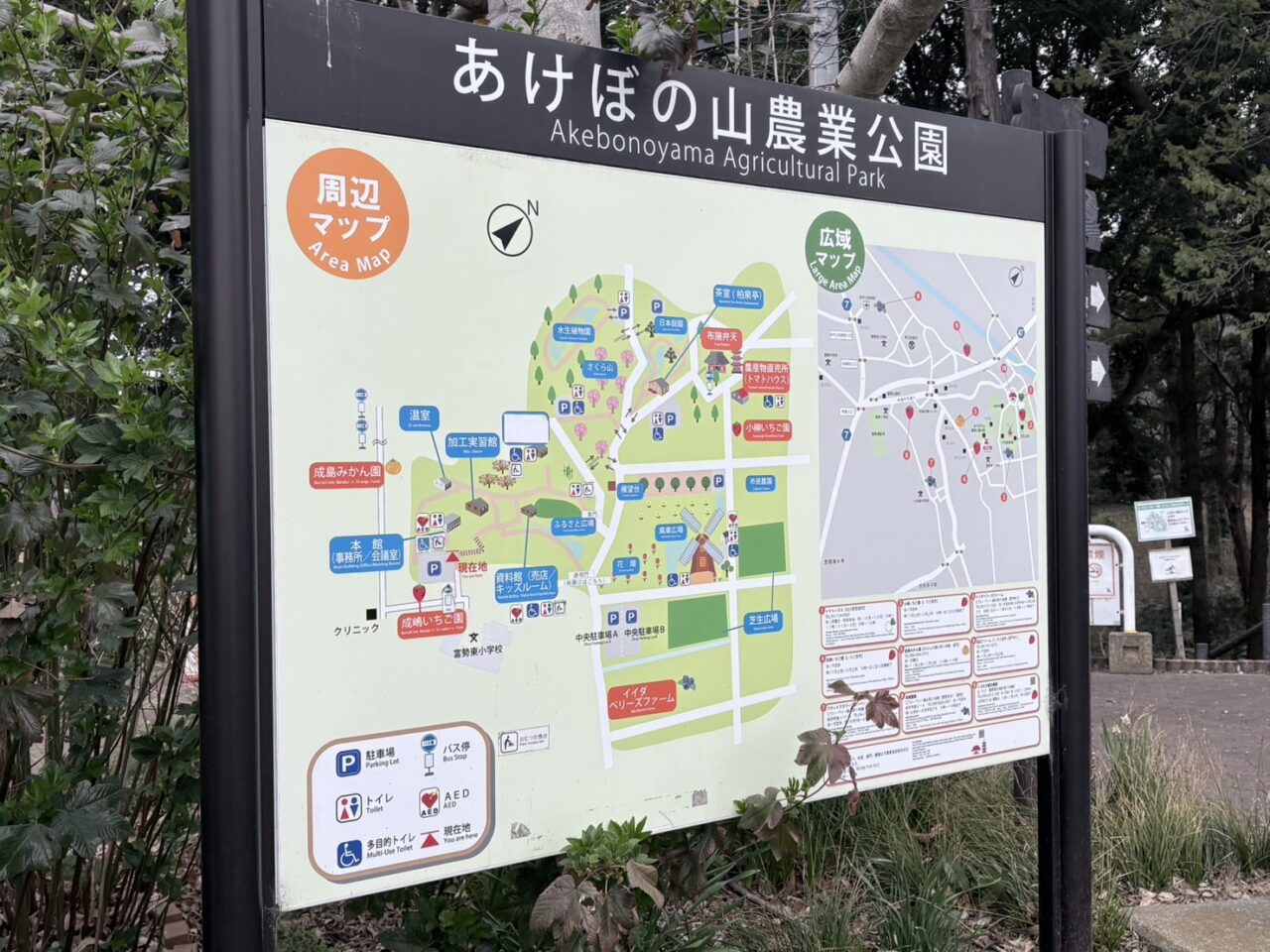 LOCAL BBQリニューアルオープン