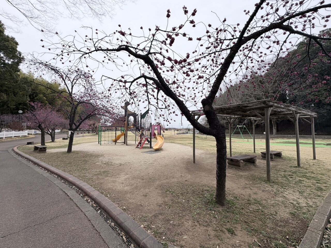 LOCAL BBQリニューアルオープン