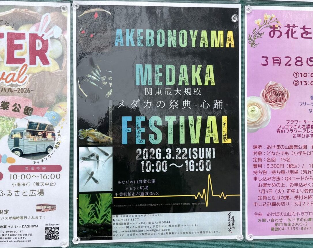 メダカフェスタ