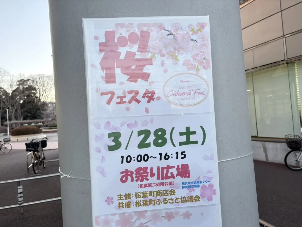 松葉町桜フェスタ in MATSUBA