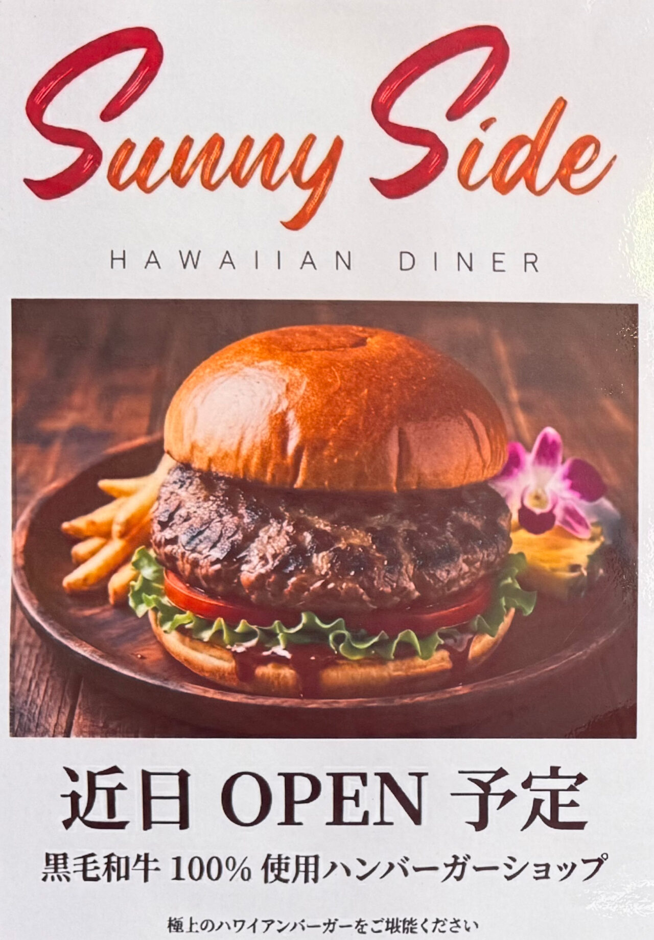 Sunny Sideチラシ