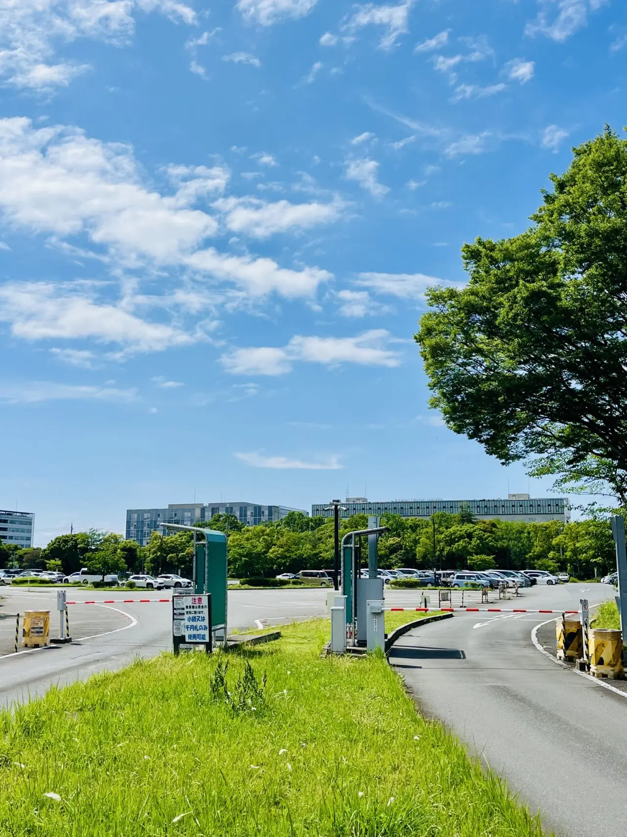 柏の葉公園駐車場1