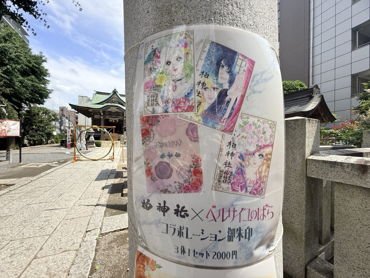 柏神社ベルばら越しの芽の輪