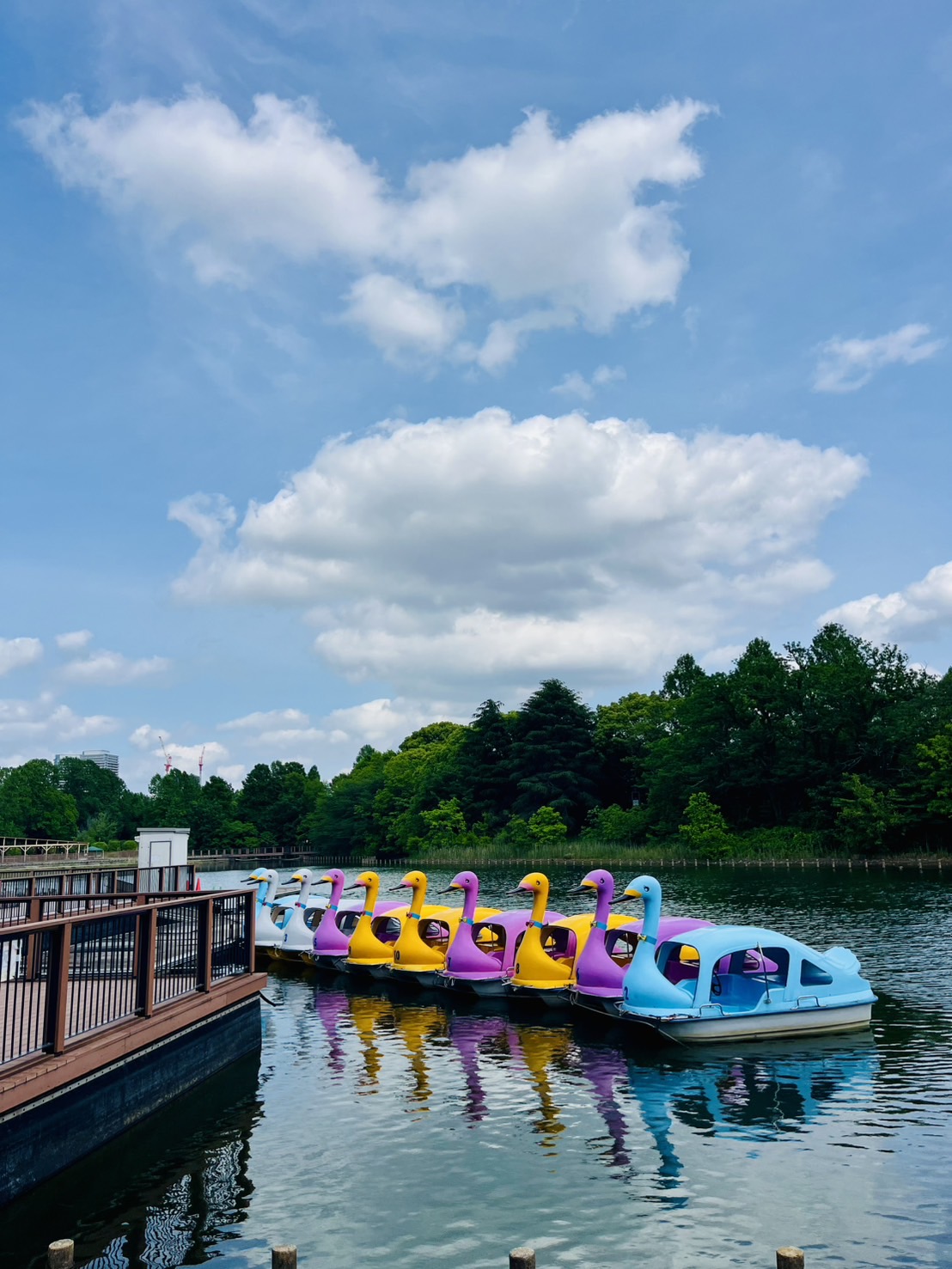 柏の葉公園boat