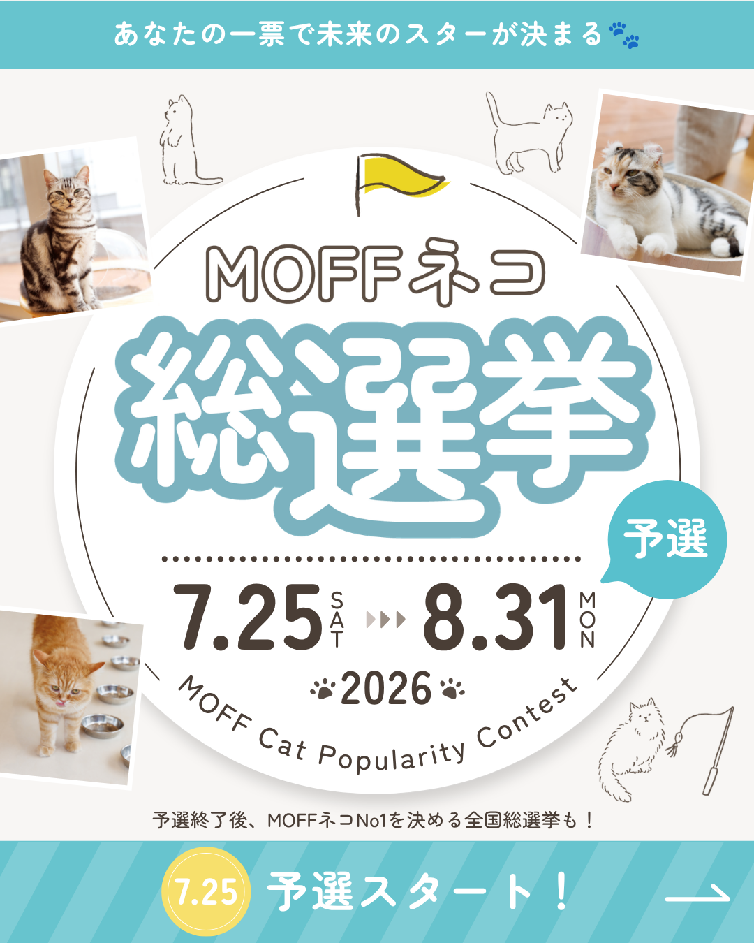 モフねこ総選挙チラシ