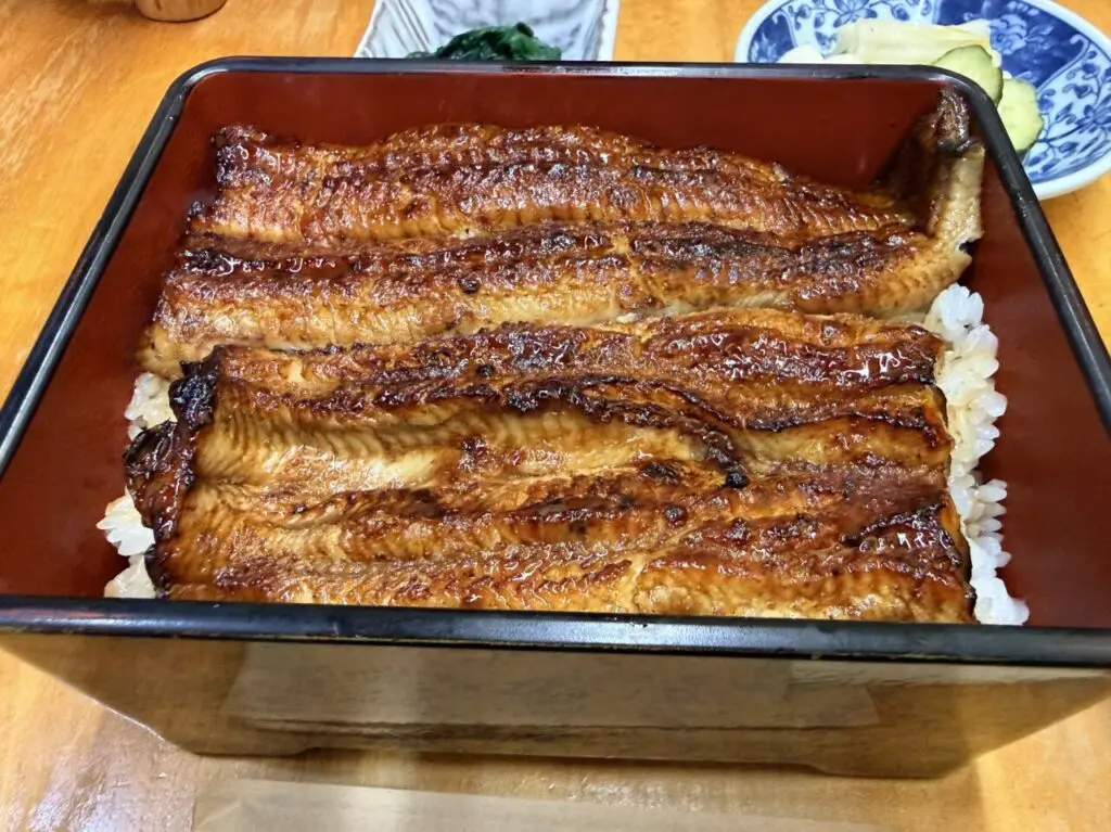 うなぎ蒲焼しんきょうのうな重