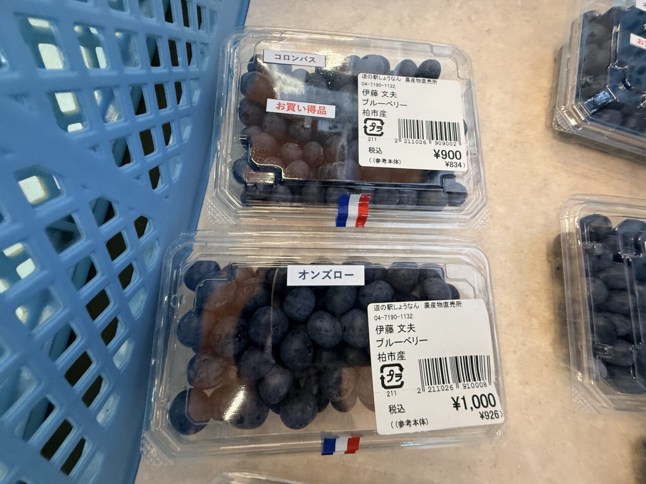 blueberry