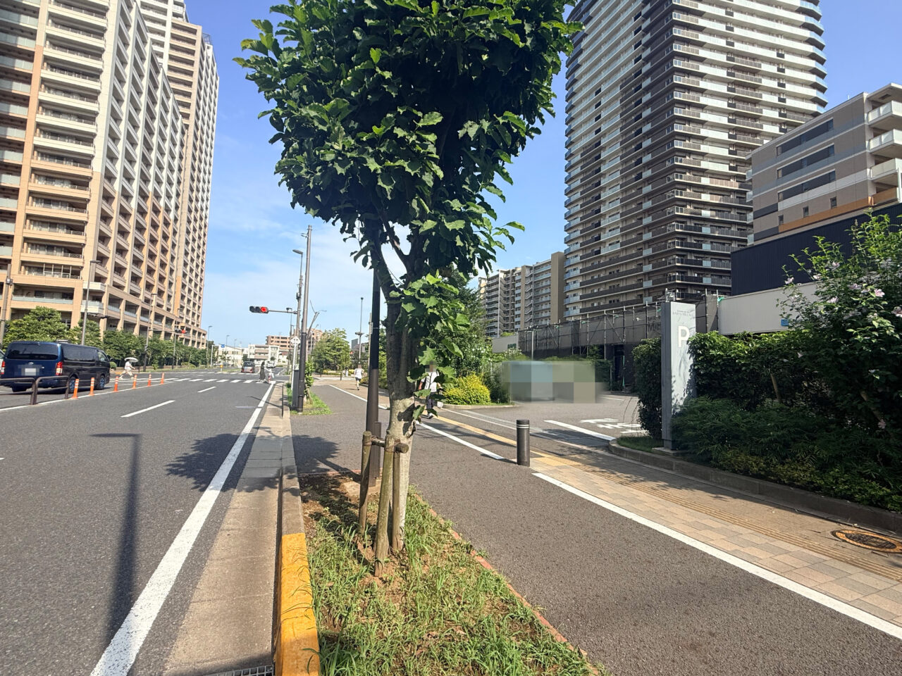 Rintosull柏の葉